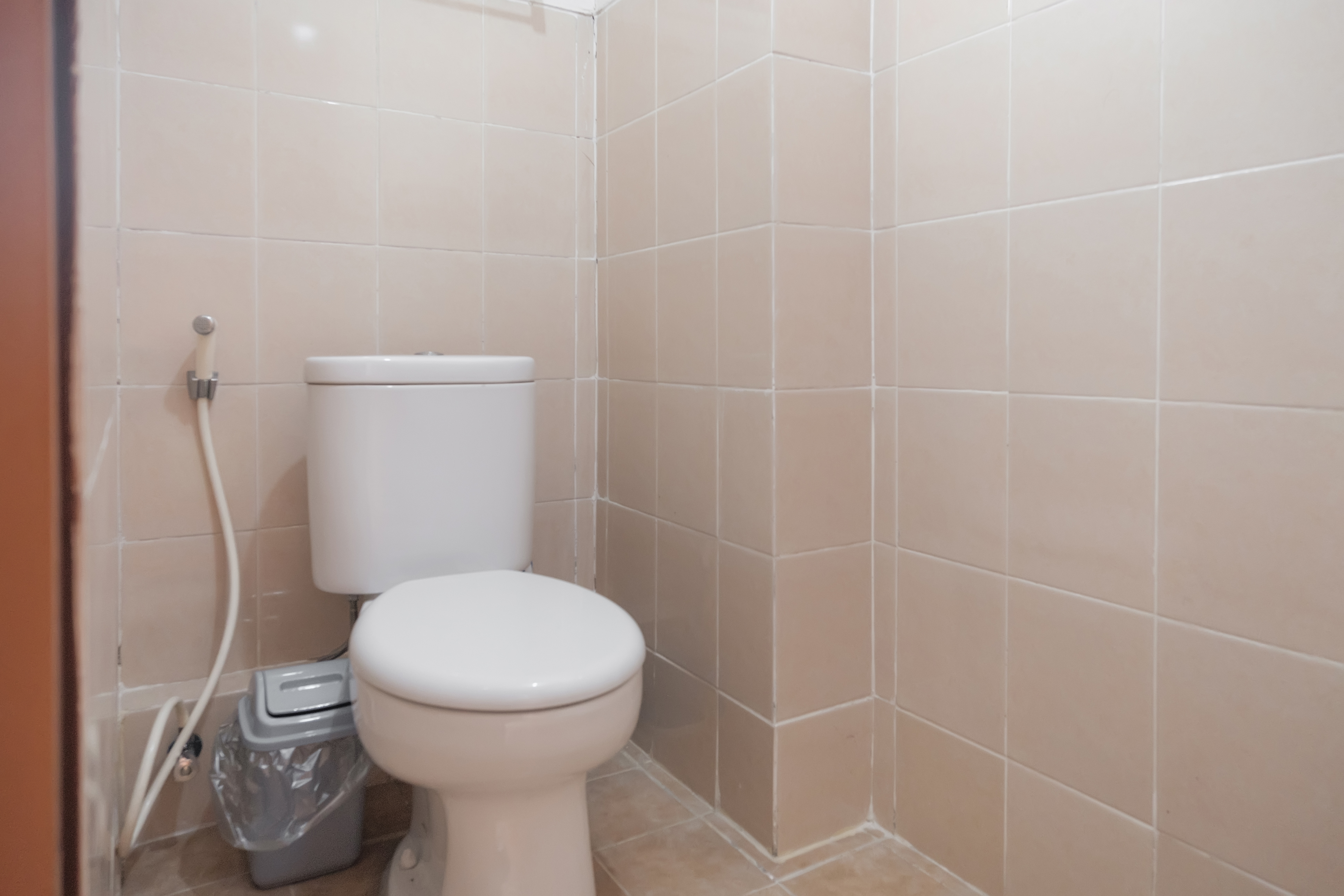 Mirea Studio P001 Photo 10