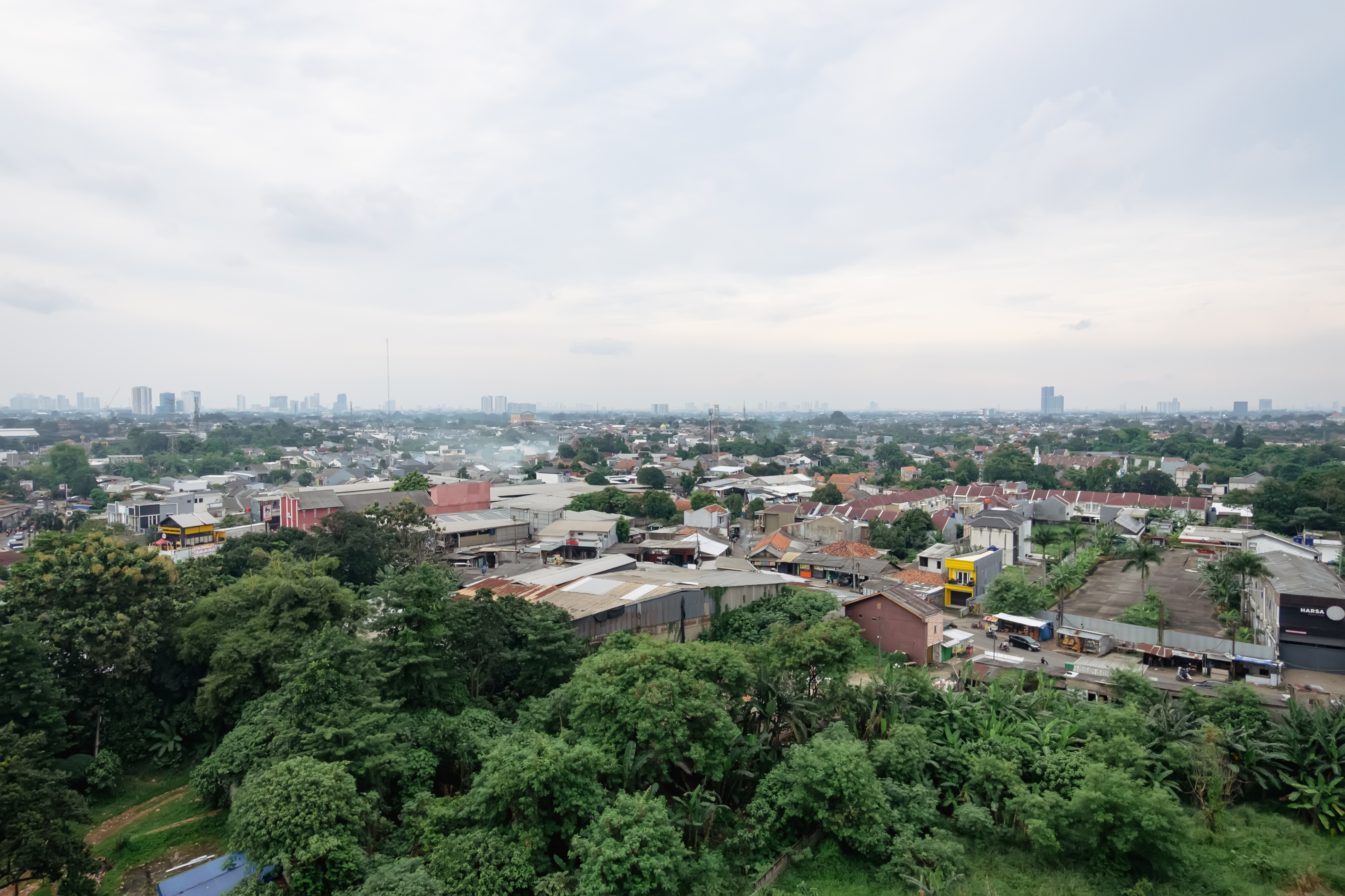 Mirea Studio P001 Photo 12