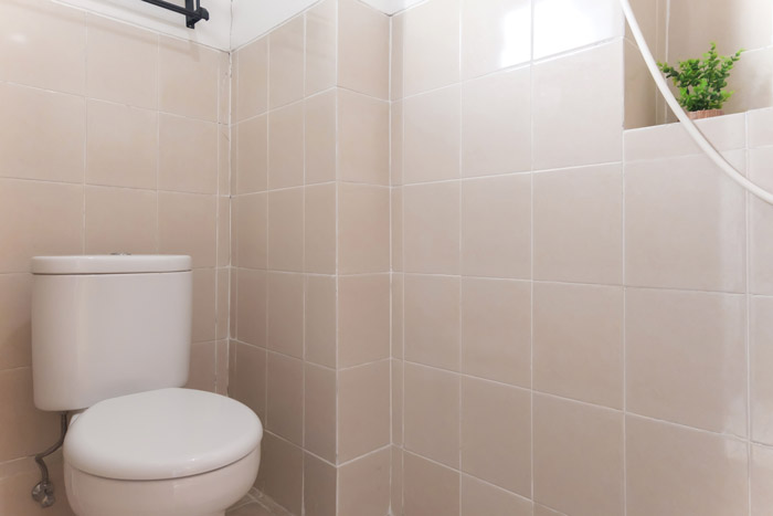 Mirea Studio P001 Photo 15