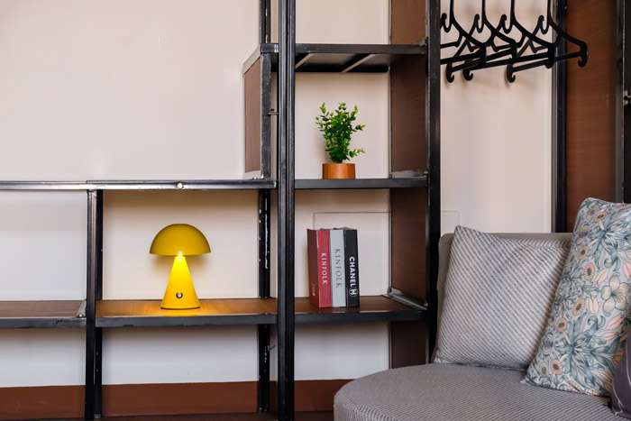 Mirea Studio P001 Photo 4